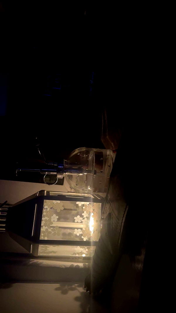 endangerdreamer image ~ Altpins