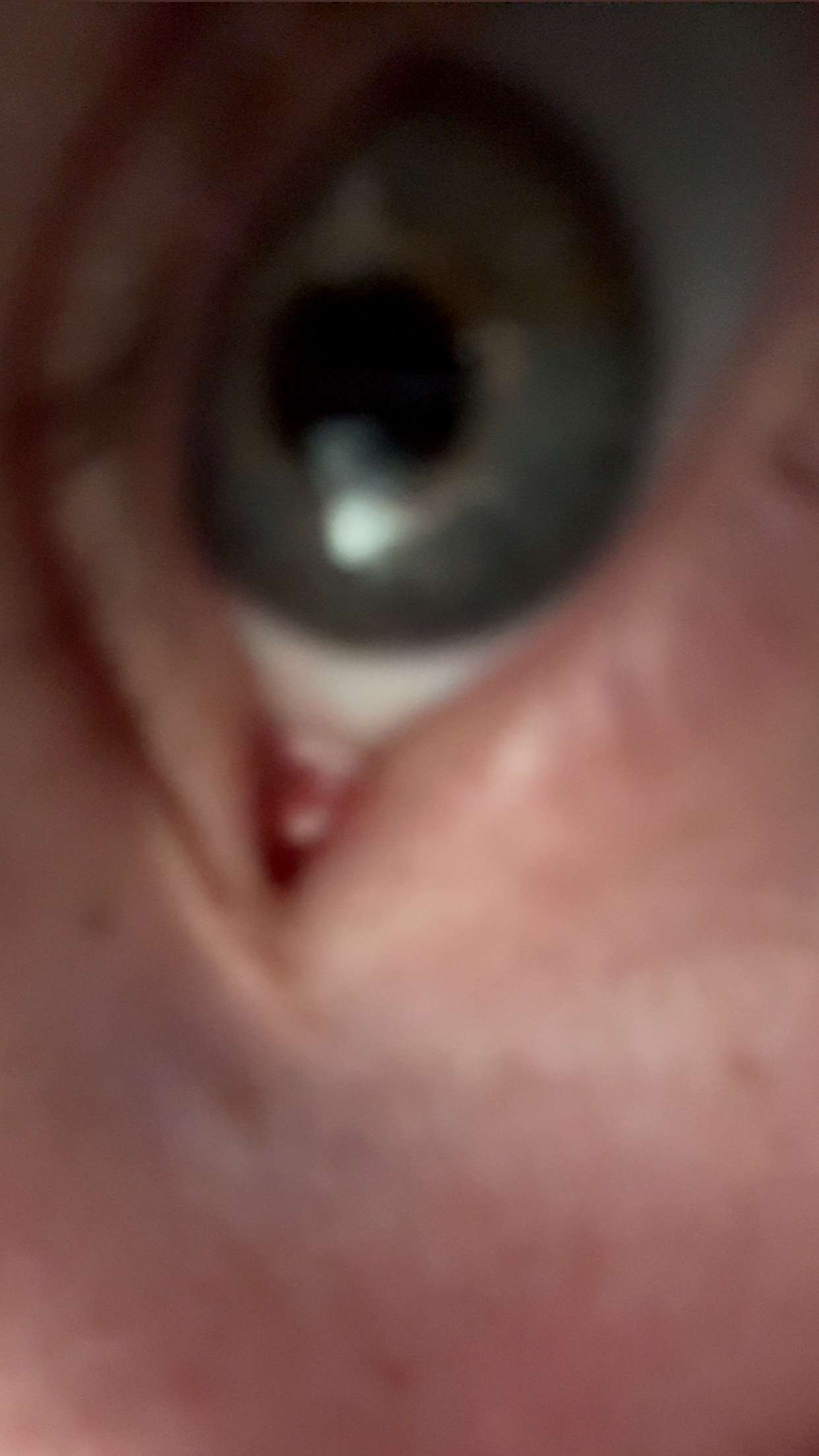 endangerdreamer snapchat image archive image