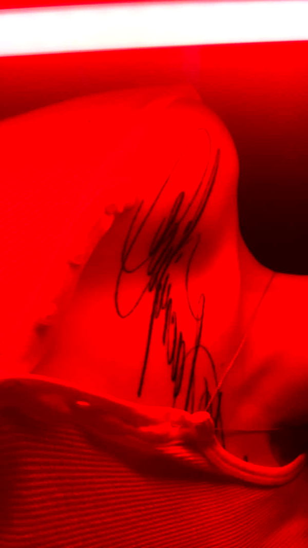 endangerdreamer image ~ Altpins