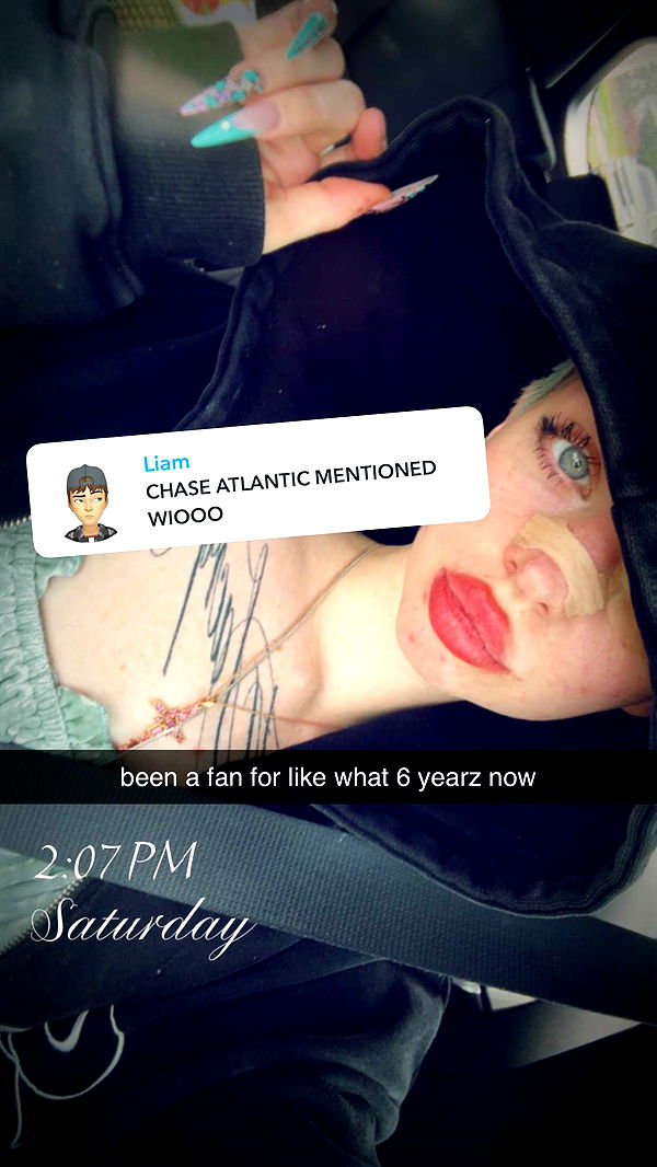 endangerdreamer image ~ Altpins