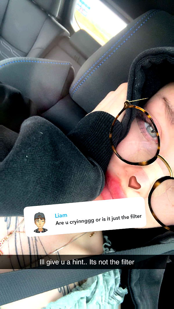 endangerdreamer image ~ Altpins