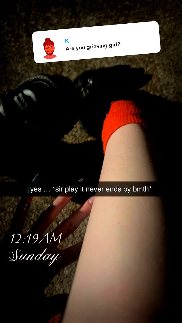 endangerdreamer image ~ Altpins