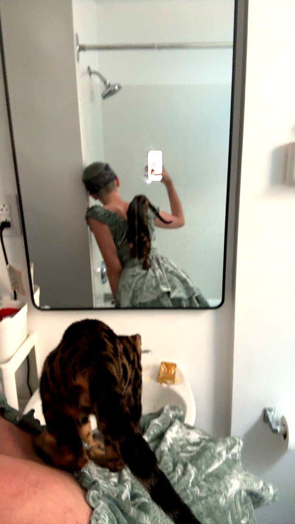 endangerdreamer image ~ Altpins