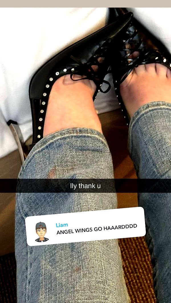 endangerdreamer image ~ Altpins