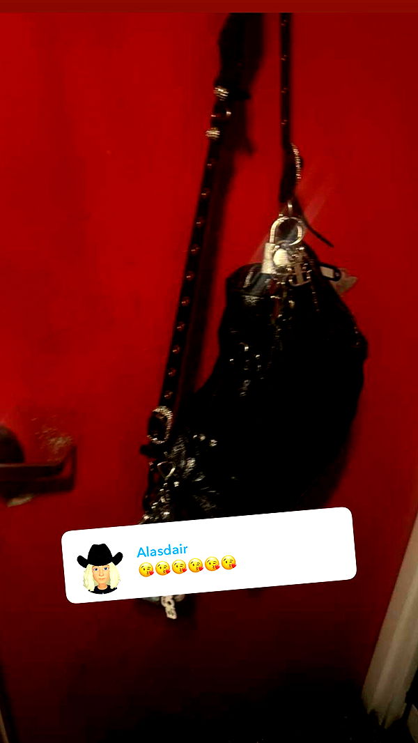 endangerdreamer image ~ Altpins