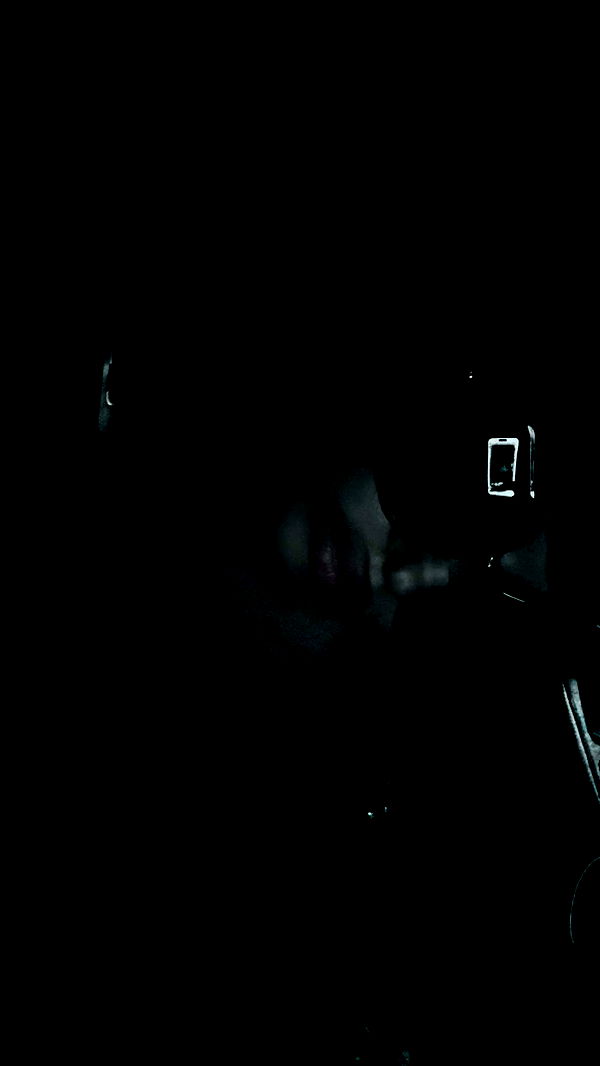 endangerdreamer image ~ Altpins