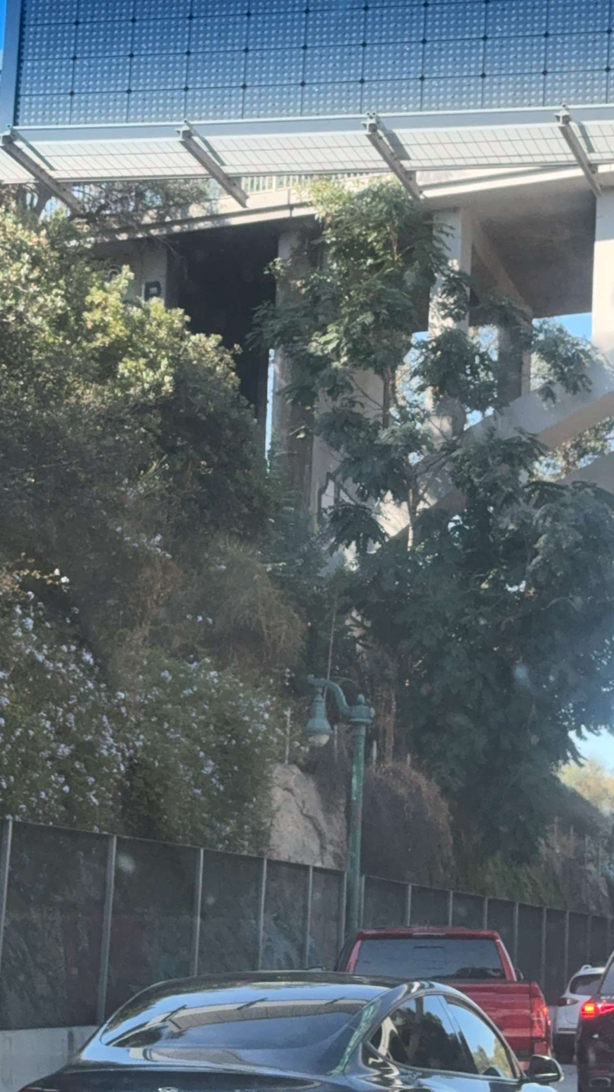 endangerdreamer snapchat image archive image