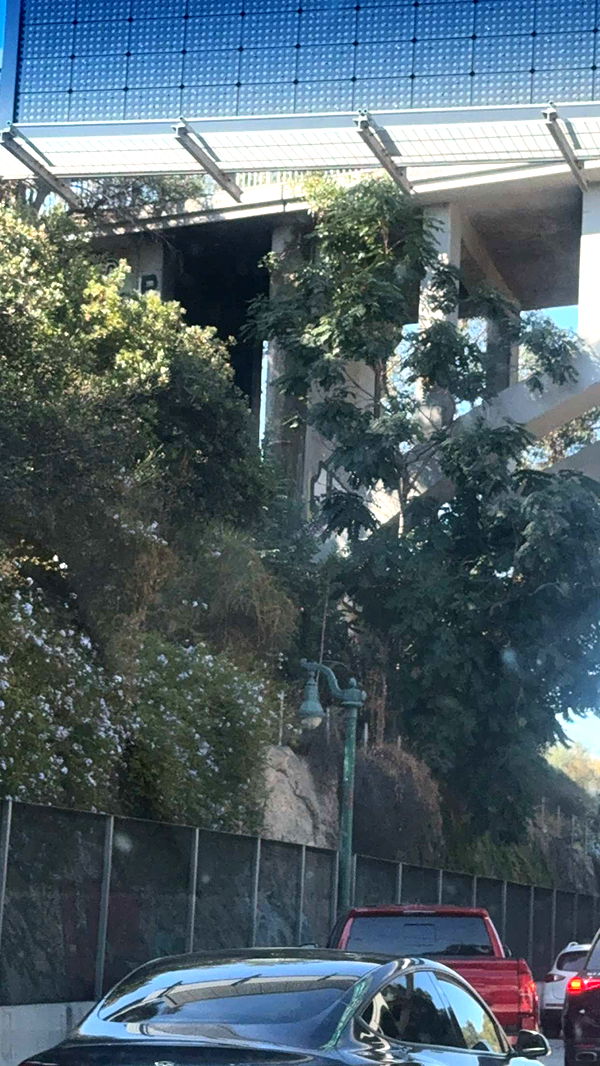 endangerdreamer image ~ Altpins