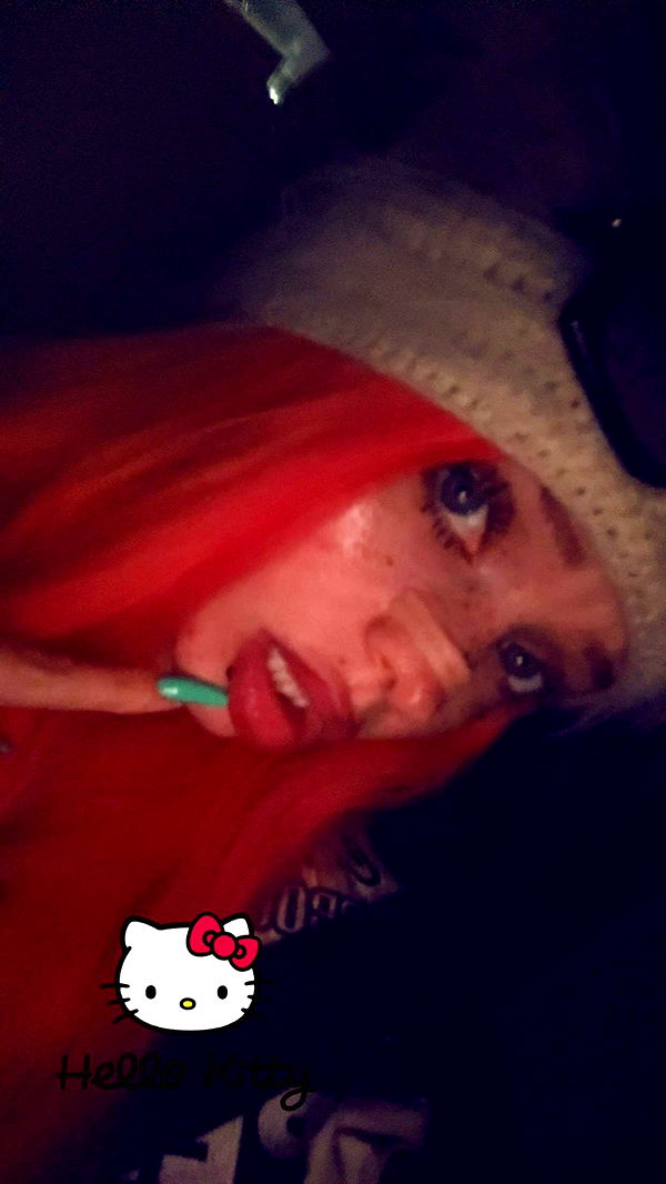 endangerdreamer image ~ Altpins