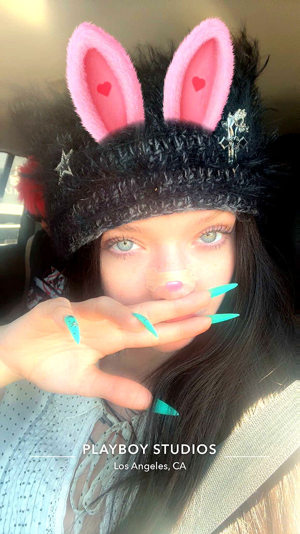 endangerdreamer image ~ Altpins