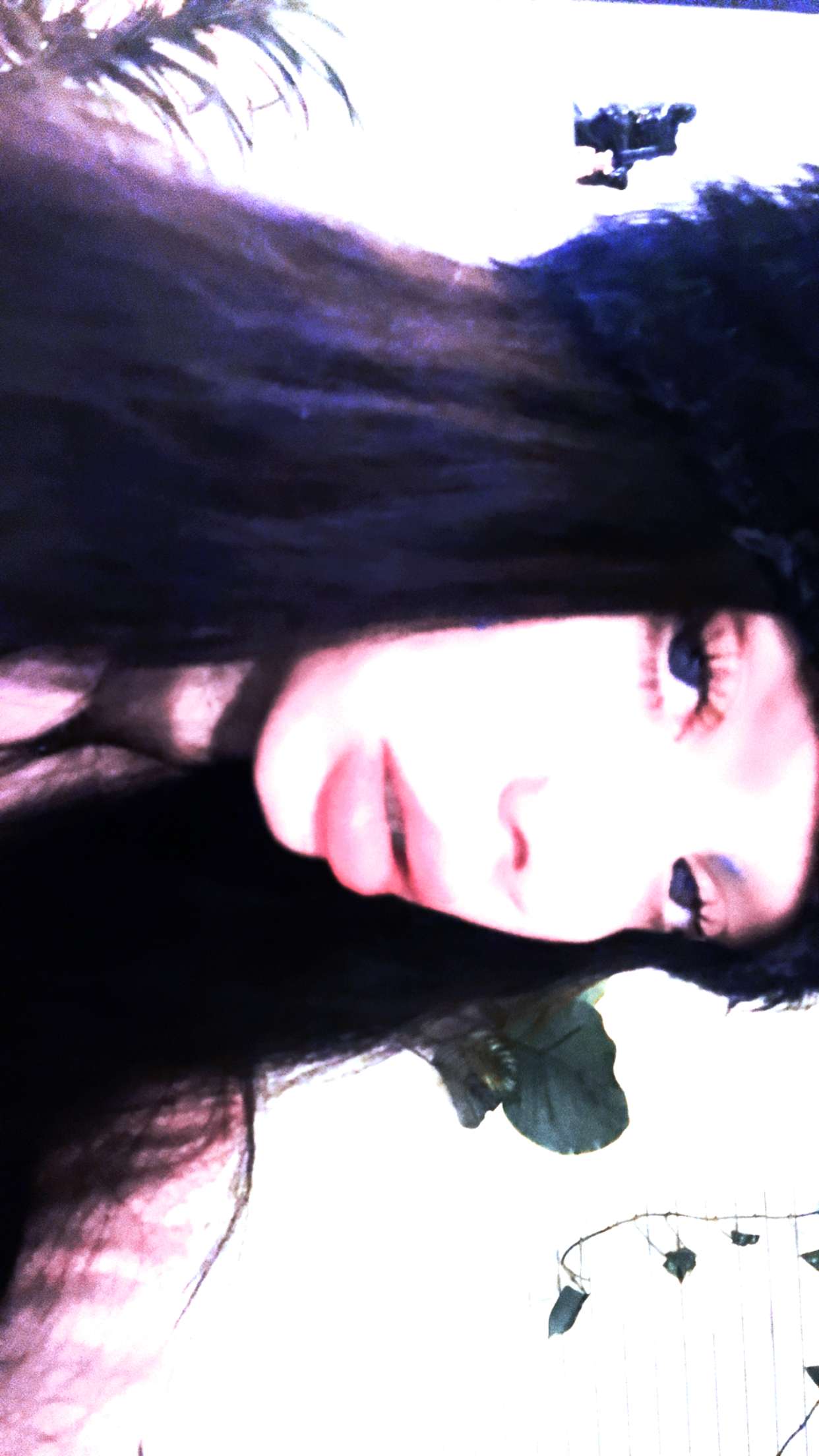 endangerdreamer snapchat image archive image