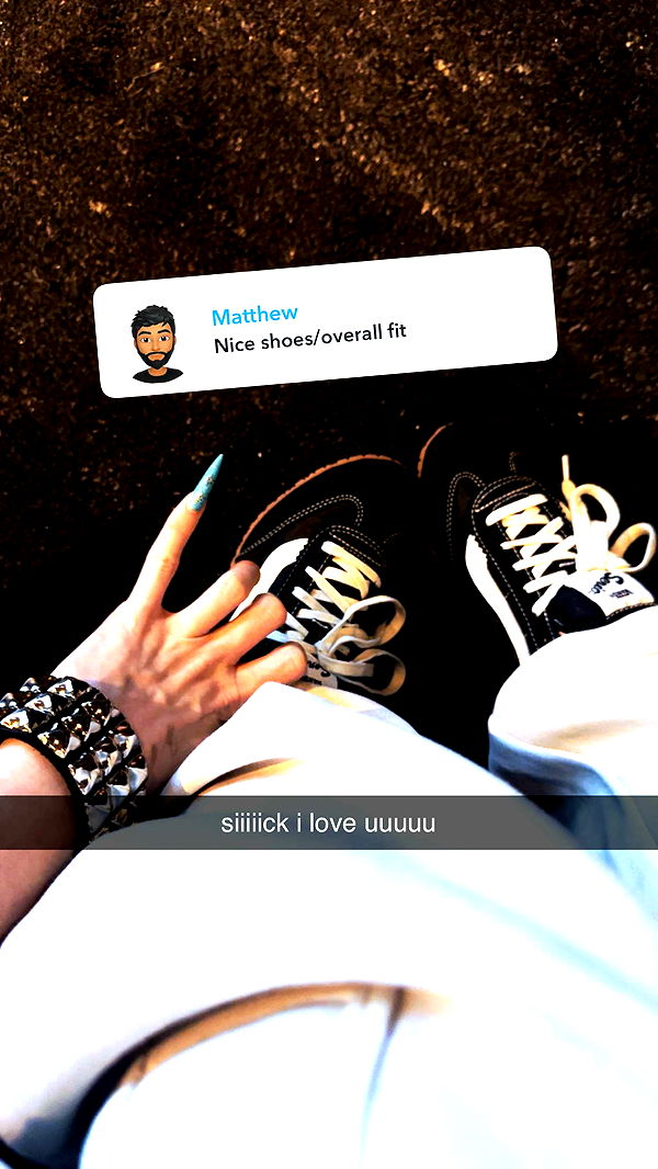 endangerdreamer image ~ Altpins