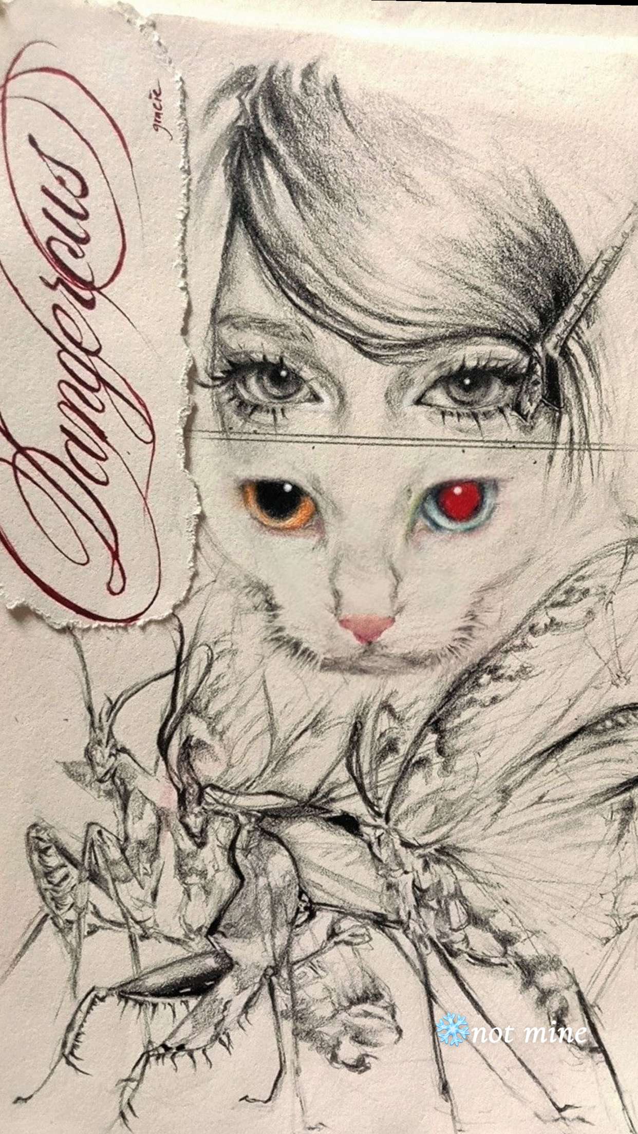 endangerdreamer snapchat image archive image