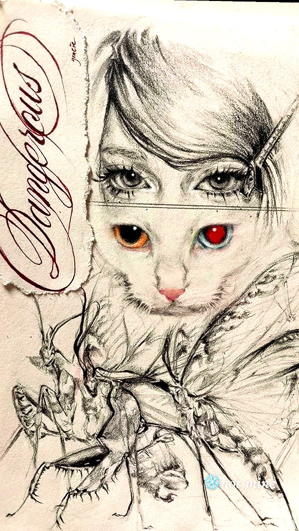 endangerdreamer image ~ Altpins