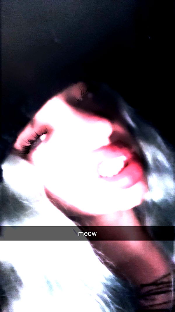 endangerdreamer image ~ Altpins