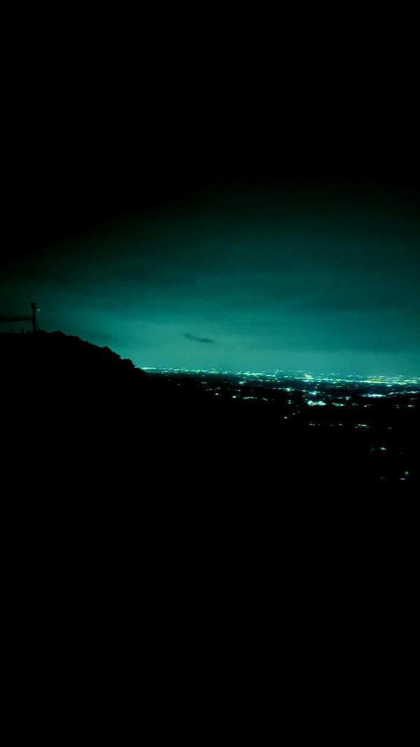 endangerdreamer image ~ Altpins