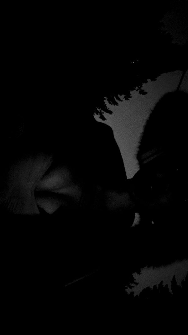 endangerdreamer image ~ Altpins