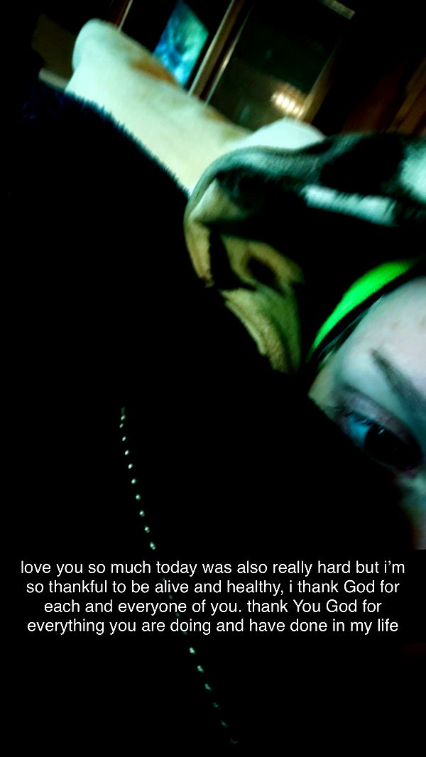 endangerdreamer image ~ Altpins