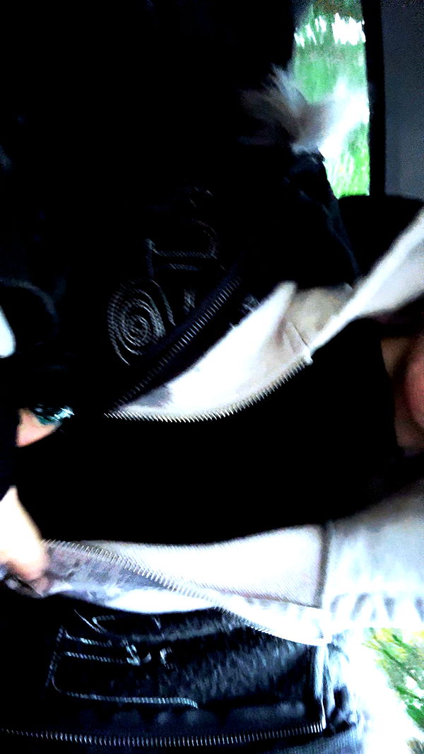 endangerdreamer image ~ Altpins