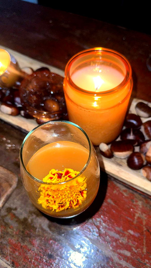 endangerdreamer image ~ Altpins