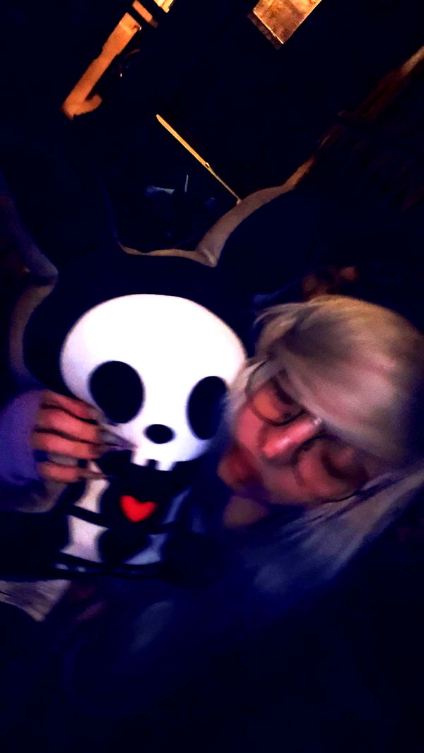 endangerdreamer image ~ Altpins