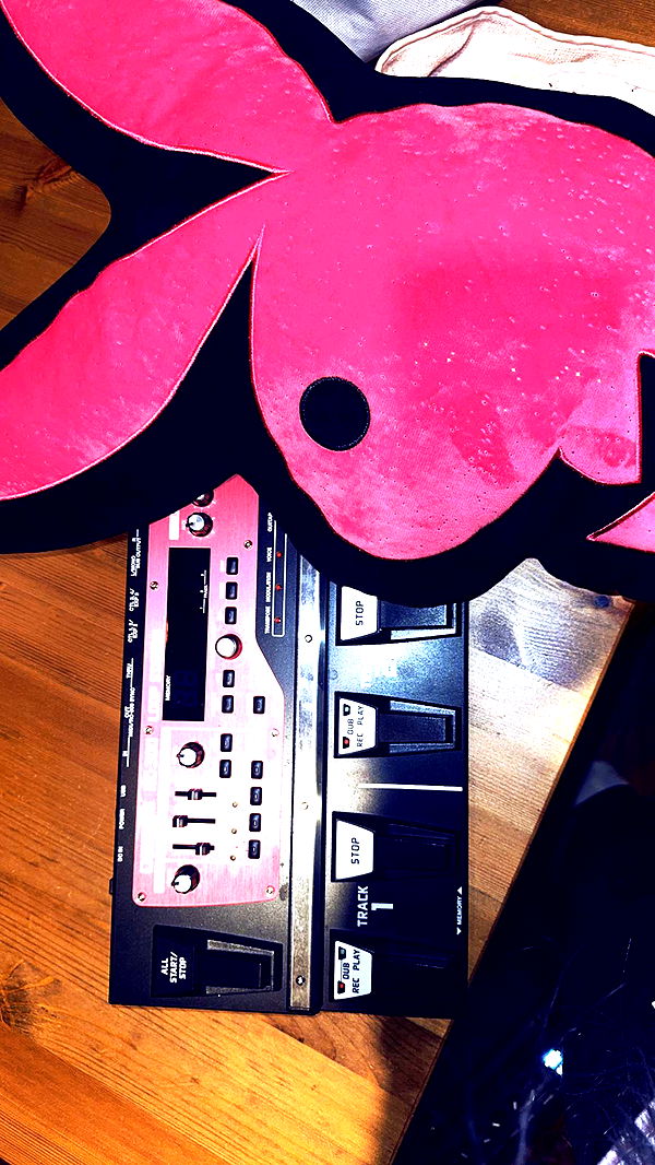 endangerdreamer image ~ Altpins