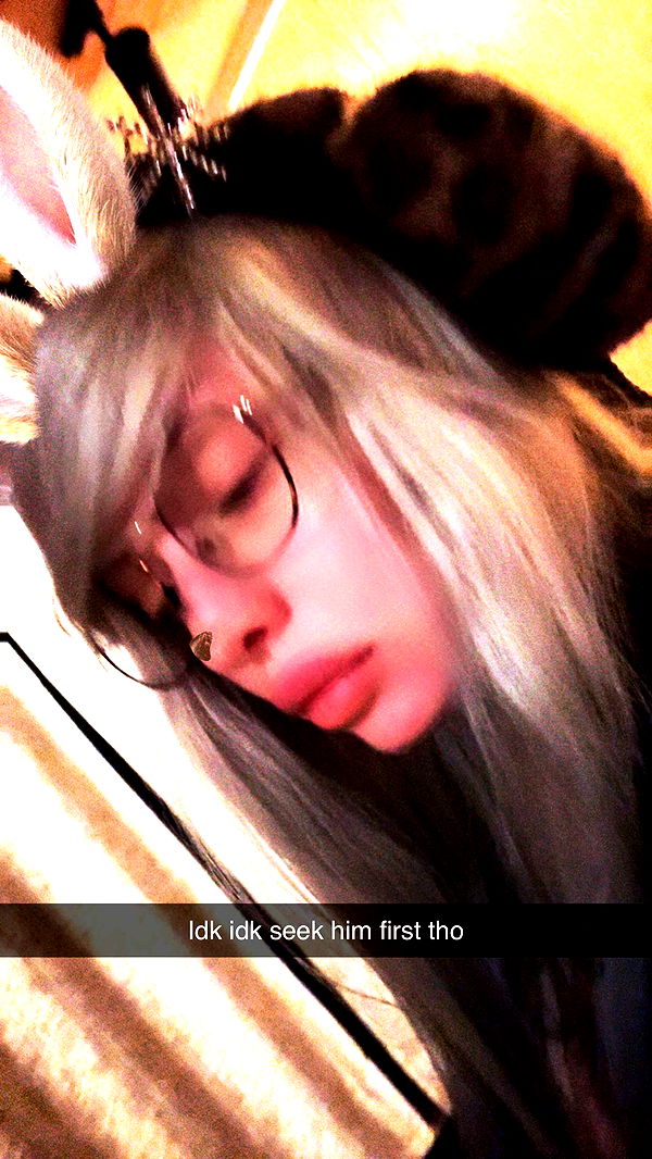 endangerdreamer image ~ Altpins