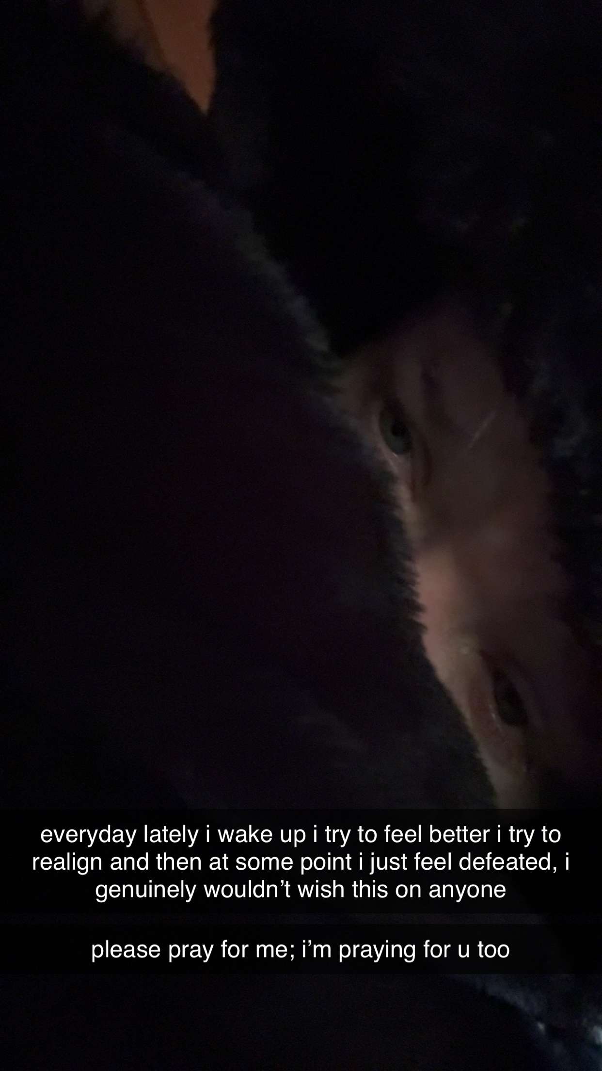 endangerdreamer snapchat image archive image