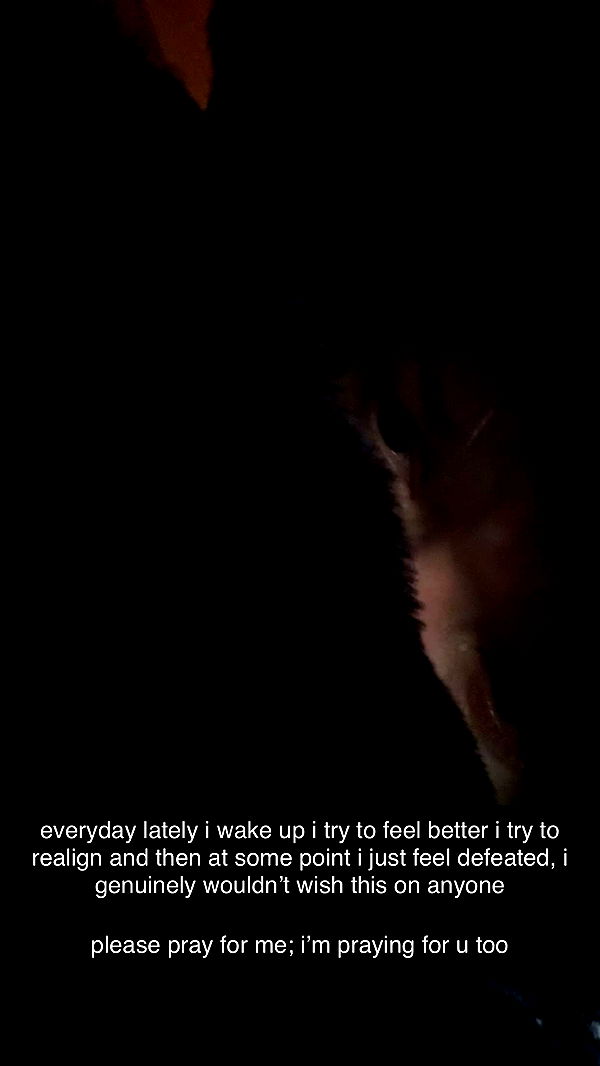 endangerdreamer image ~ Altpins