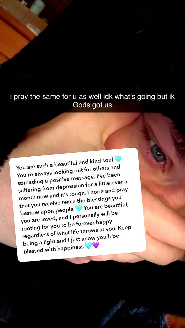 endangerdreamer image ~ Altpins