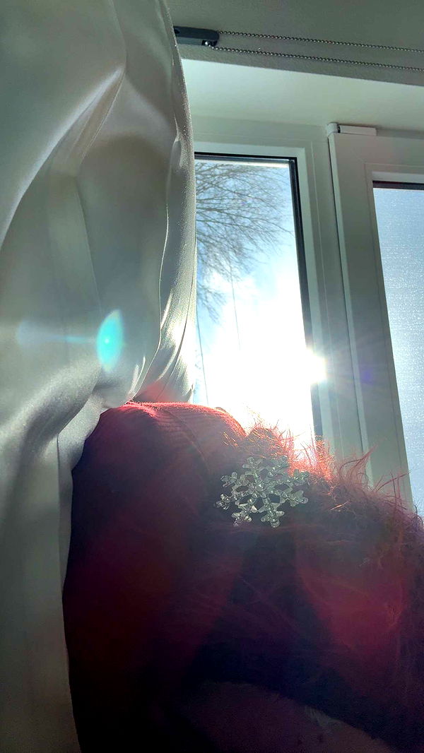 endangerdreamer image ~ Altpins