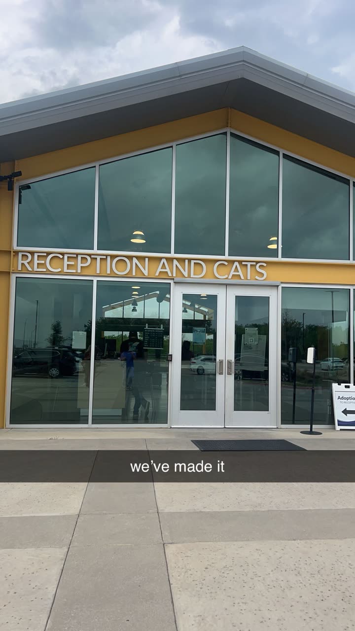 fionamaefit snapchat image archive image