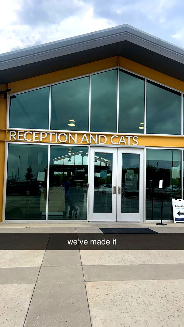 fionamaefit image ~ Altpins