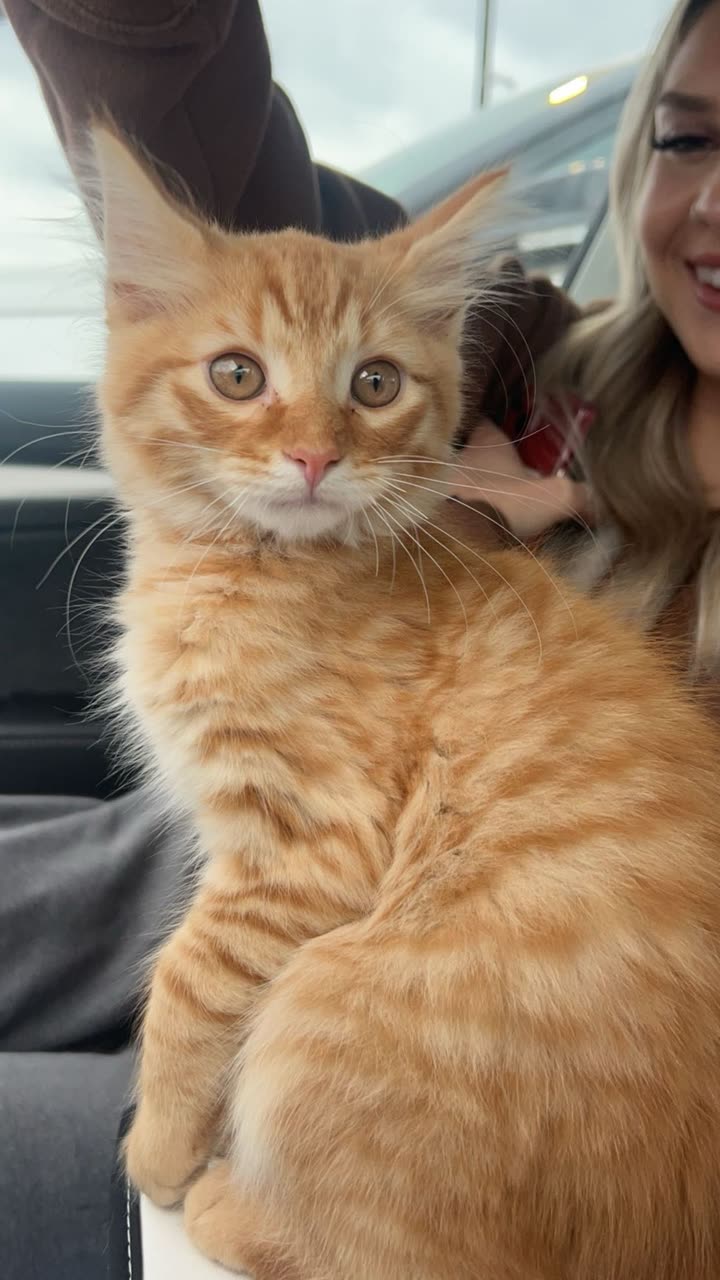 fionamaefit snapchat image archive image