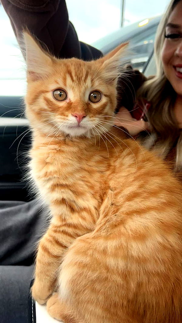 fionamaefit image ~ Altpins