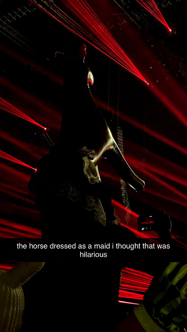 fionamaefit image ~ Altpins