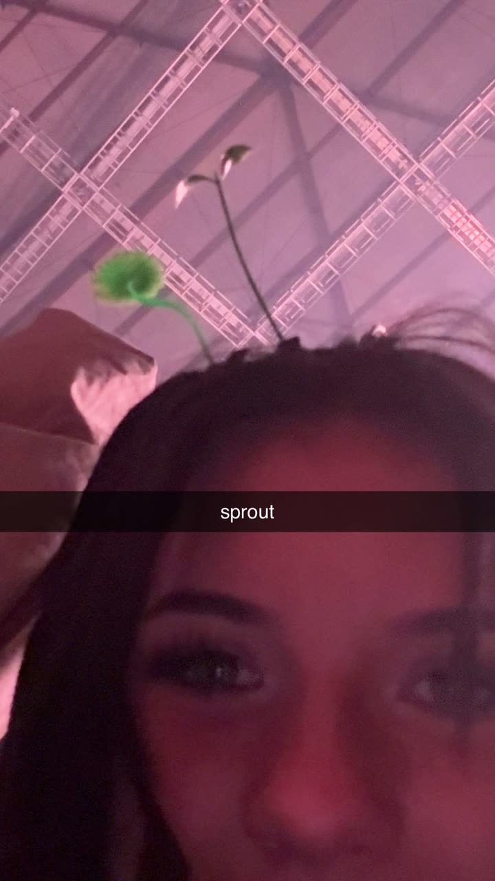 fionamaefit snapchat image archive image