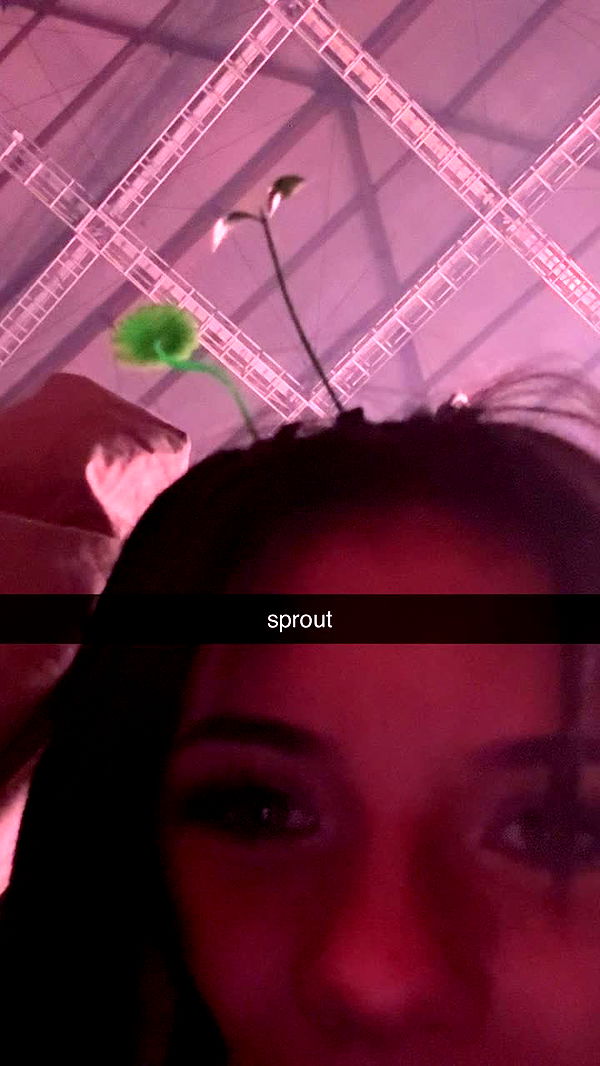 fionamaefit image ~ Altpins