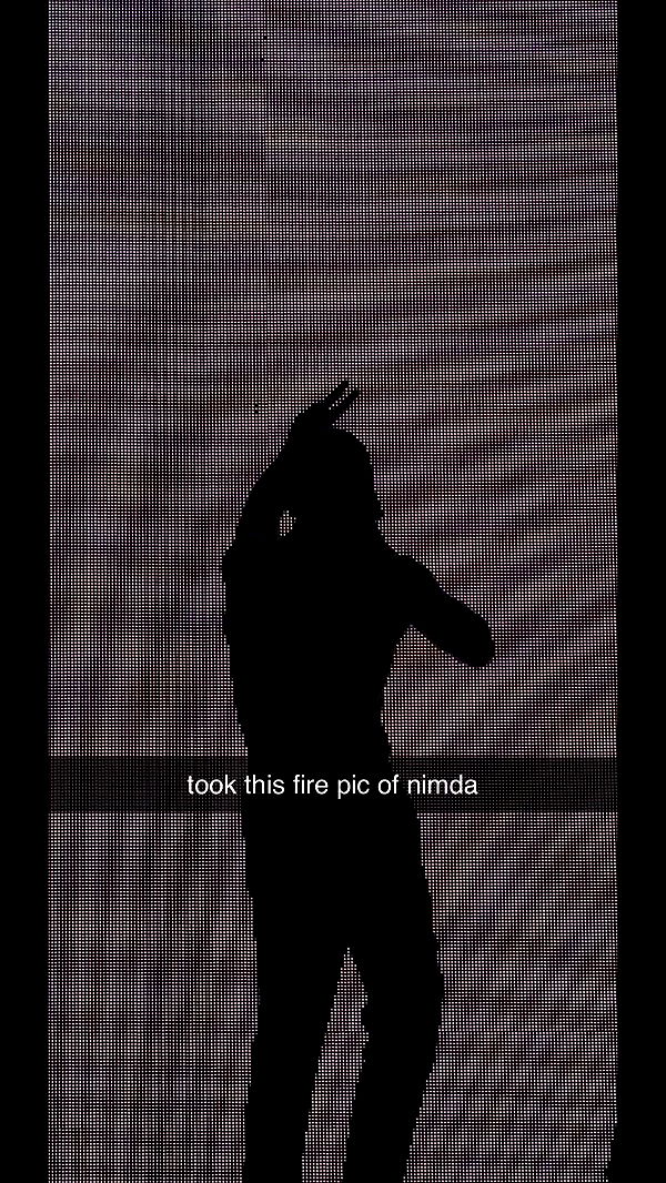 fionamaefit image ~ Altpins