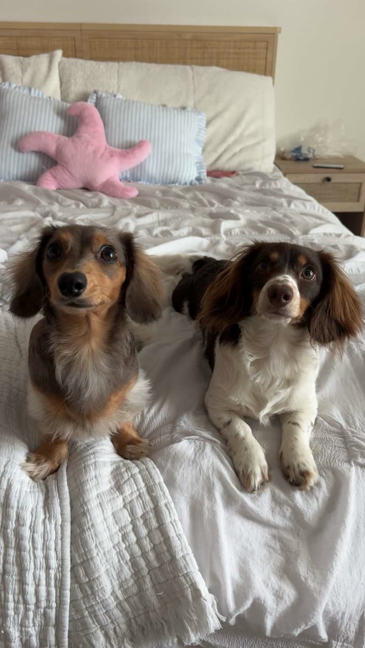 fionamaefit snapchat image archive image