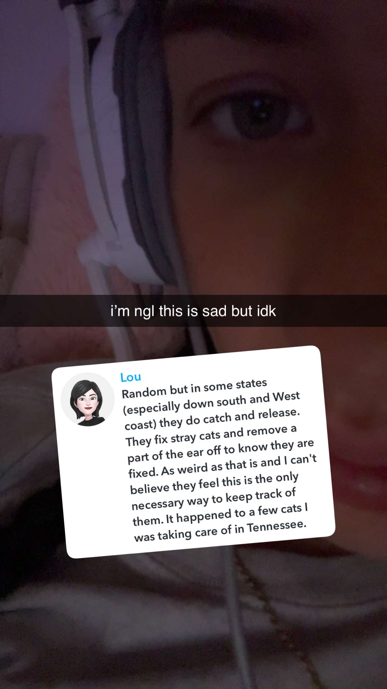 fionamaefit snapchat image archive image