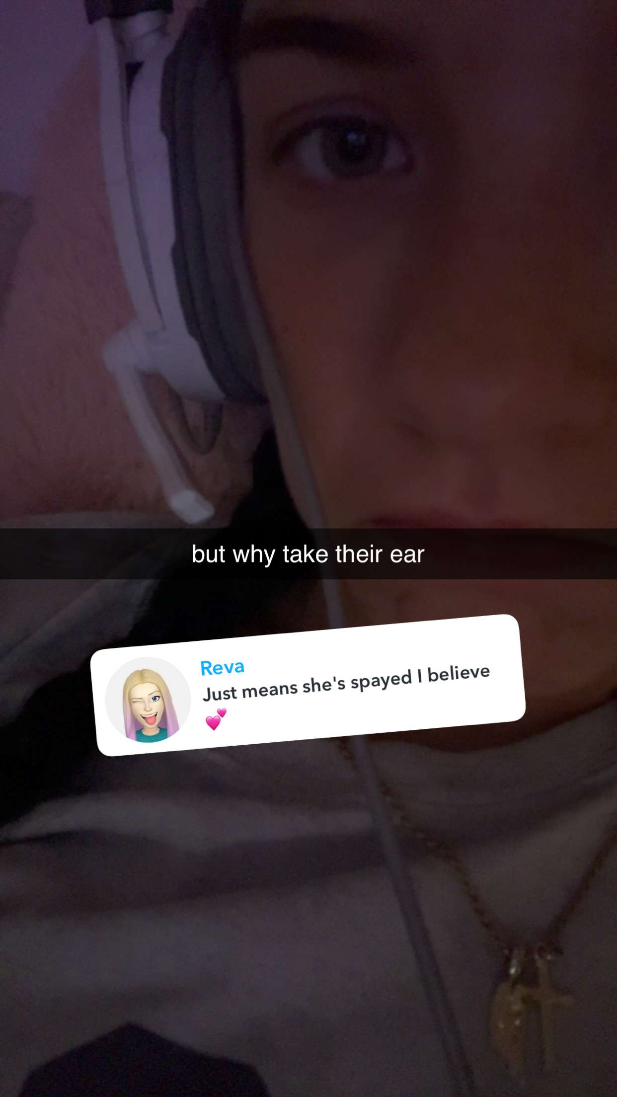 fionamaefit snapchat image archive image