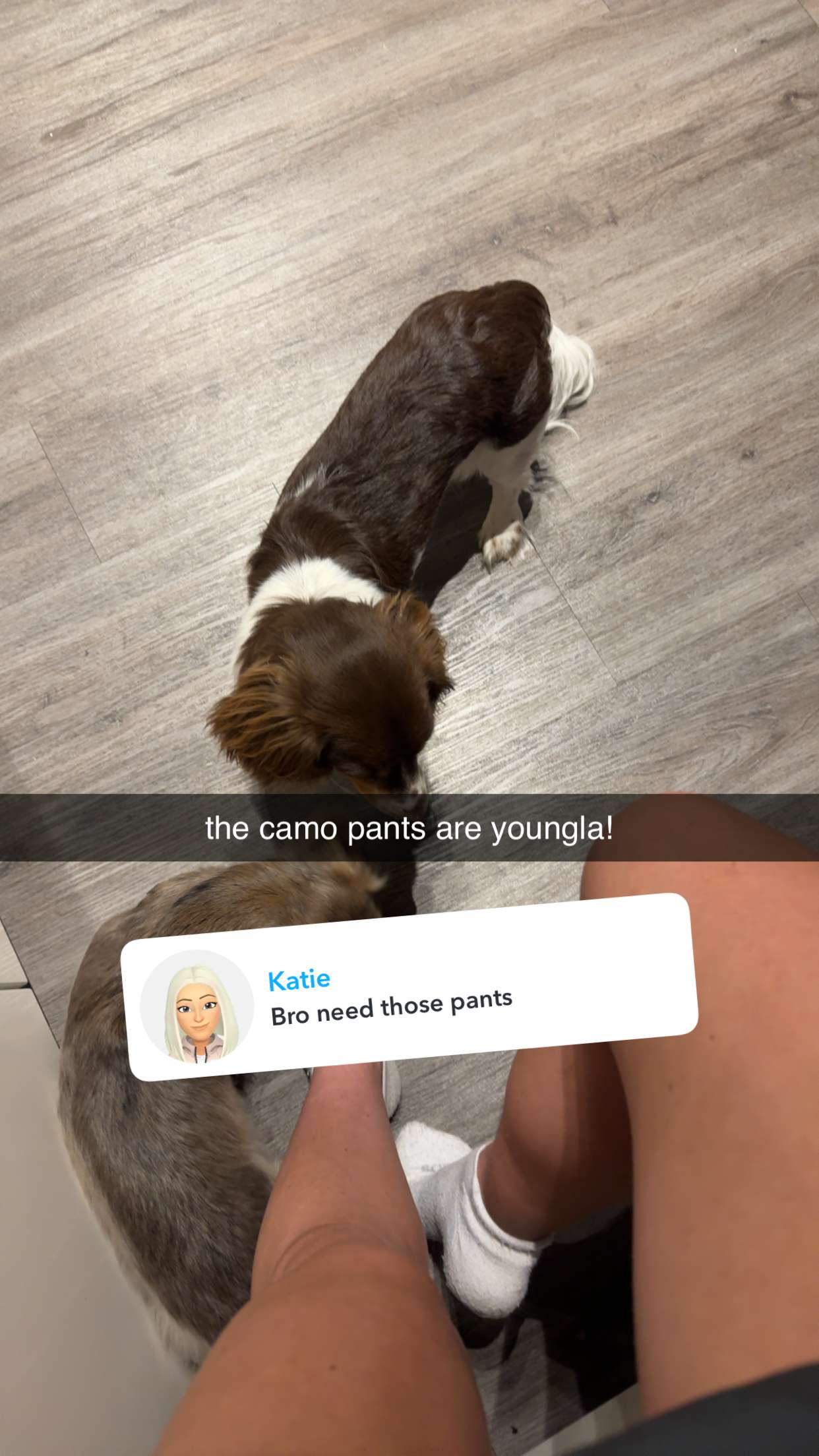 fionamaefit snapchat image archive image