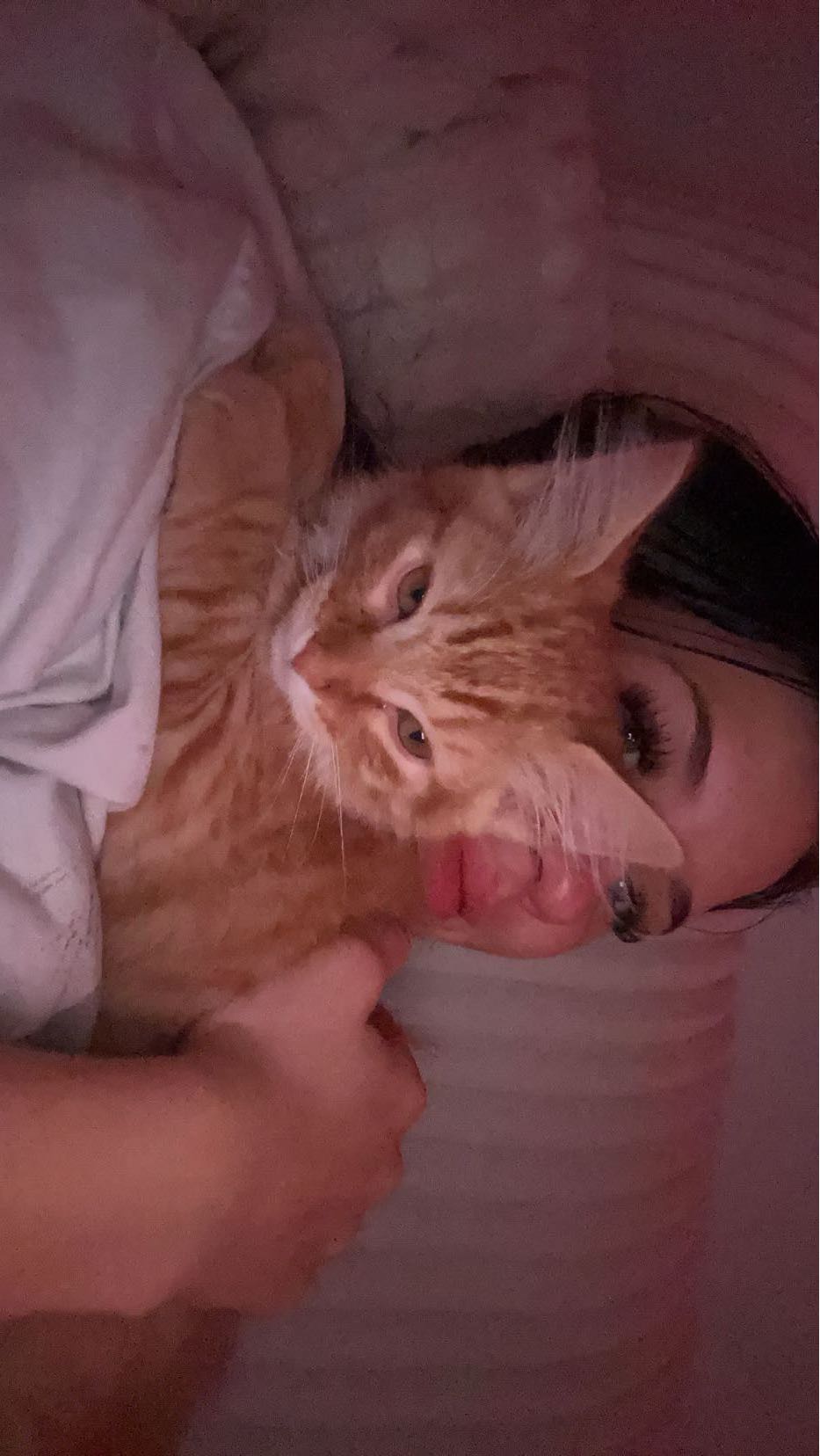 fionamaefit snapchat image archive image