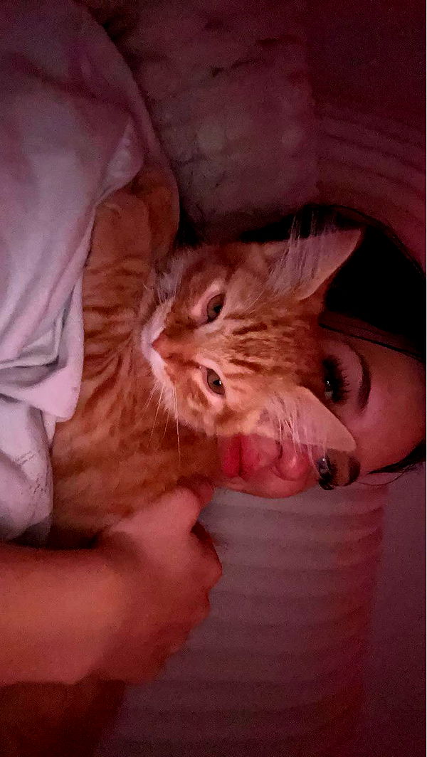 fionamaefit image ~ Altpins