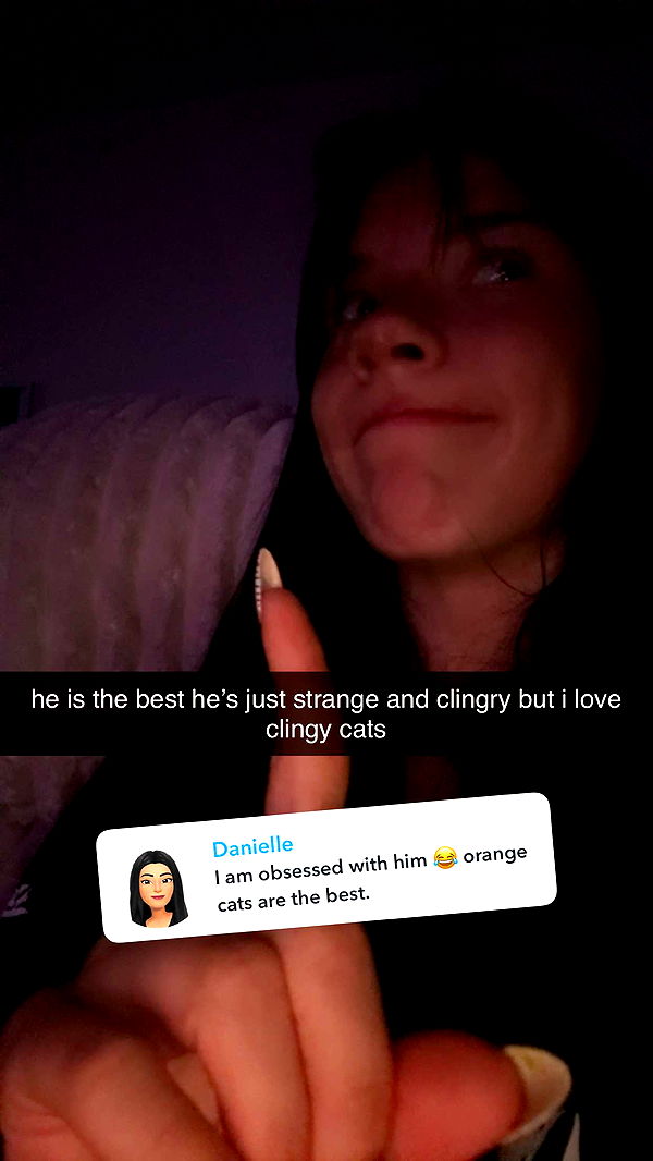 fionamaefit image ~ Altpins