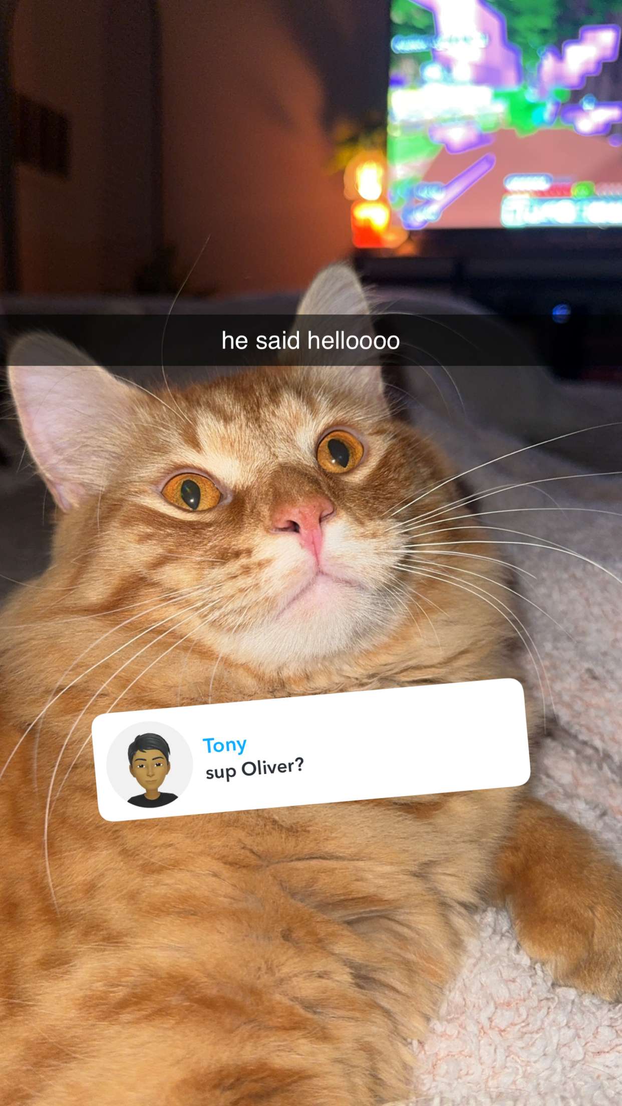 fionamaefit snapchat image archive image