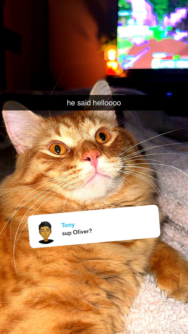 fionamaefit image ~ Altpins