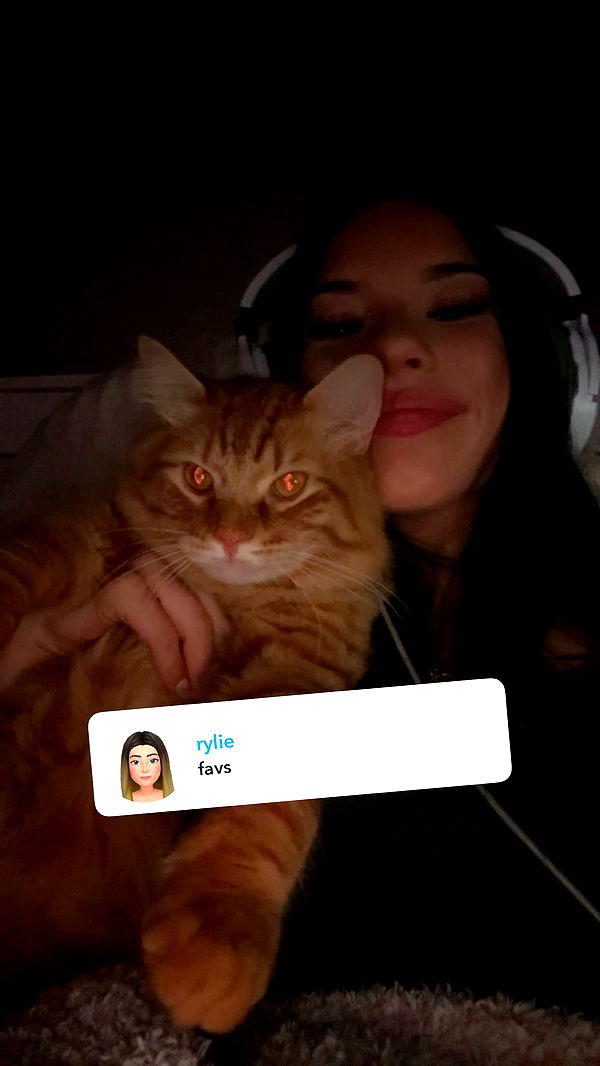 fionamaefit image ~ Altpins