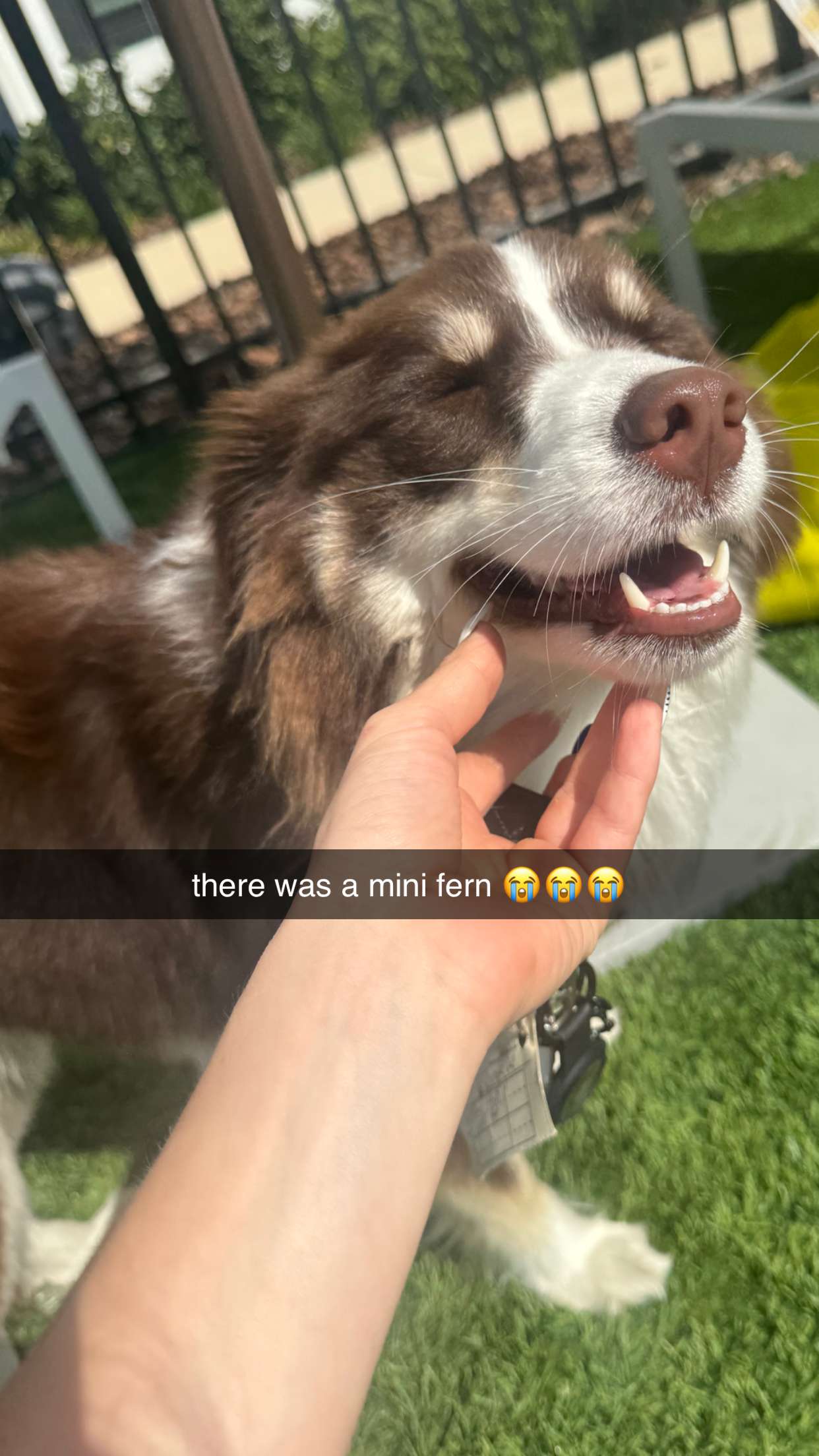 fionamaefit snapchat image archive image